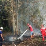 Proses Pemadaman Kebakaran Hutan