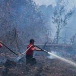 pemadaman kebakaran hutan