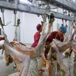 Darkhan Meat Foods