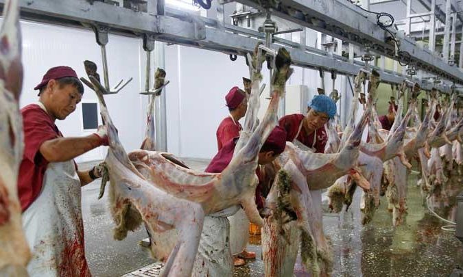 Darkhan Meat Foods